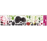 Window film Fruit blackberries 64 x 15 cm
