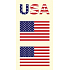Arch Tattoo decals for face and body USA, American flag 1 motif