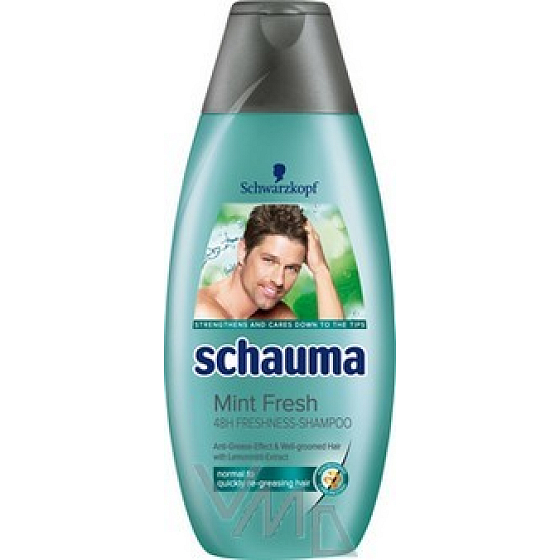 Schauma Freshness mint hair shampoo for men 250 ml