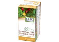 Fytopharma Bylinná směs při bolestech kloubů bylinný čaj 20 x 1,25 g
