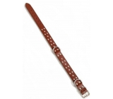 Tatrapet Leather Collar Decorated Dark Brown 3 x 55 cm