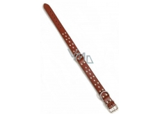 Tatrapet Collar Leather decorated dark brown 3 x 55 cm