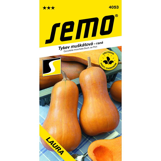 Seed Pumpkin Laura Muscat early 2 g