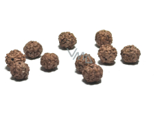 Rudraksha natural bead 9 mm, 10 pieces