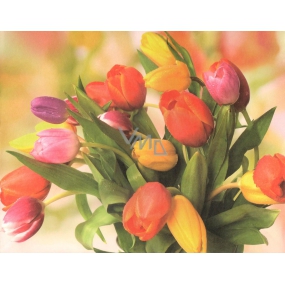 Nekupto Gift kraft bag 23 x 18 x 10 cm tulips