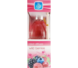 Pan Aroma Wild Berries air freshener diffuser 50 ml