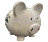 Albi Treasure box piggy bank pearl For a good party 17 x 12 x 13 cm