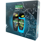 Palmolive Men Sport 3in1 shower gel for body and hair 250 ml + Men Refreshing 3in1 shower gel for body, face and hair 250 ml, cosmetic set for men