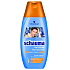 Schauma for Men Activating with caffeine for strength and volume hair shampoo 250 ml