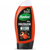 Radox Men Encouragement Caffeine & Guarana 2in1 shower gel and shampoo for men 250 ml