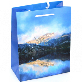 Nekupto Gift paper bag 23 x 18 x 10 cm Mountains 2013 40 KFM