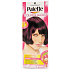 Schwarzkopf Palette Color & Gloss hair color 4 - 99 Ripe cherry
