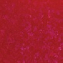 Gabriella Salvete Enamel with Hardener nail polish 152 11 ml