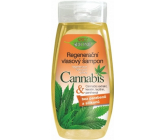 Bione Cosmetics Cannabis Regenerating Hair Shampoo 260 ml
