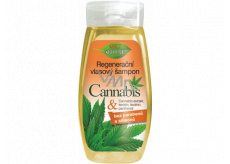 Bione Cosmetics Cannabis Regenerating Hair Shampoo 260 ml