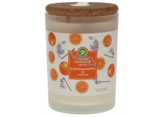 Air Wick Essential Oils Blood Orange & Incense - Orange and incense stick scented candle glass 185 g