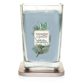 Yankee Candle Coastal Cypress - Coastal cypress soy scented candle Elevation large glass 2 wicks 553 g