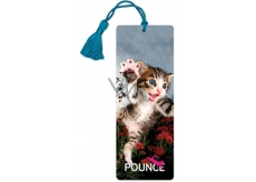 3D bookmark - Kitten 5,7 x 15,3 cm