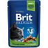 Brit Premium Chicken pieces for neutered cats complete food pocket 100 g