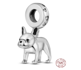 Charm Sterling silver 925 French Bulldog, animal bracelet pendant