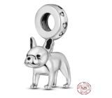 Charm Sterling Silver 925 Dog - French Bulldog, Animal Bracelet Pendant