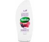 Radox Romantic with the scent of blueberries and orchids cream shower gel 250 ml