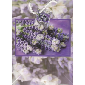 Nekupto Gift paper bag 32.5 x 26 x 13 cm Lavender 390 40 BL