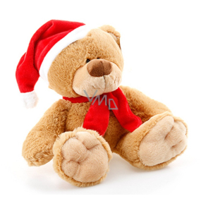 EP Line Pets Teddy Bear with hat plush animal 25 cm, recommended age 3+
