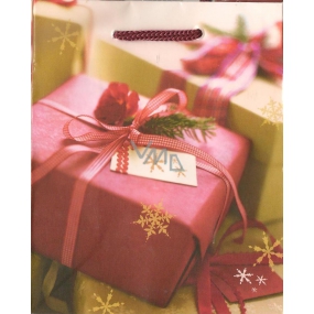Albi Gift paper small bag 13.5 x 11 x 6 cm Christmas TS3 99068