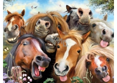 Prime3D Poster - Selfie Horses 39.5 x 29.5 cm