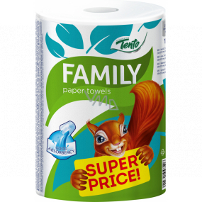 This Family XXL paper towels 2 ply 300 pieces 1 roll