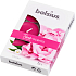 Bolsius Aromatic Peony - Peony scented tealights 6 pieces, burning time 4 hours