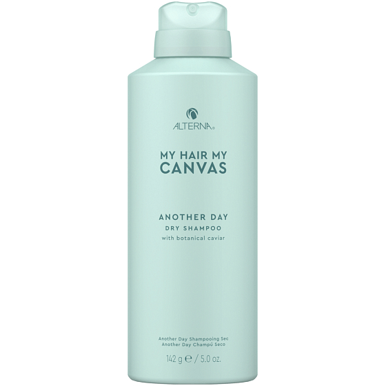 Alterna My Hair My Canvas Another Day Dry Hair Shampoo 142 g