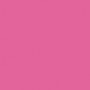 Miss Sports Shimmer Dust Eyeshadow Loose 005 3 g