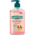 Sanytol liquid soap for kitchens, 250 ml