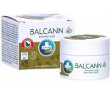 Annabis Balcann hemp ointment for skin regeneration on dry cracked skin 15 ml