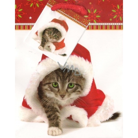 Nekupto Gift paper bag 14 x 11 x 6.5 cm Christmas cat 911 30 WBS