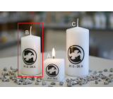 Lima Horoscope Fish candle cylinder 50 x 100 mm 1 piece