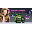 Schauma Push-Up for larger volume hair shampoo 400 ml