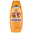 Schauma Super Fruit & Vitamin shampoo for dry hair brings shine, vitality 400ml