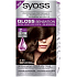 Syoss Gloss Sensation Gentle hair color without ammonia 3-86 Golden chocolate 115 ml