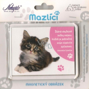 Nekupto Pets magnetic image Kitten tabby