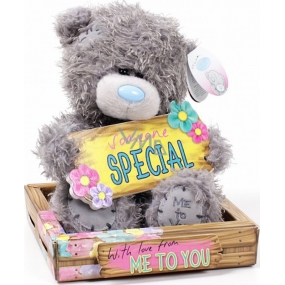 Me to You Teddy bear Someone Special plaque 14 cm