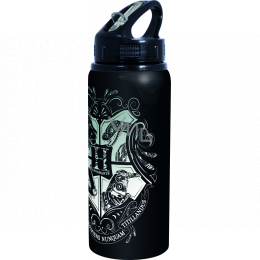 wildcraft aluminium bottle