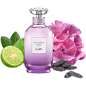 Coach Dreams Moonlight eau de parfum for women 40 ml