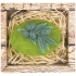 Bohemia Gifts Oliva handmade toilet soap in a box of 90 g