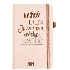Albi Diary 2019 pocket with elastic Every day Pink 9,5 x 15 x 1,3 cm