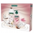 Palmolive Gourmet Coconut Joy Shower Gel 250 ml + Orchid & Coconut Milk Handwash + Lotion liquid soap with dispenser 250 ml, cosmetic set