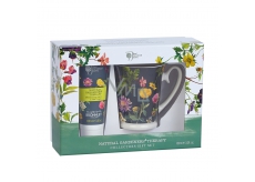 Bronnley RHS Natural Gardeners Therapy Hand and Nail Cream 100 ml + Mug Gift Set - DAMAGED