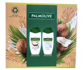 Palmolive Naturals Coconut & Milk Shower Cream 250 ml + Sensitive Skin Milk Protein Shower Cream 250 ml, cosmetic set